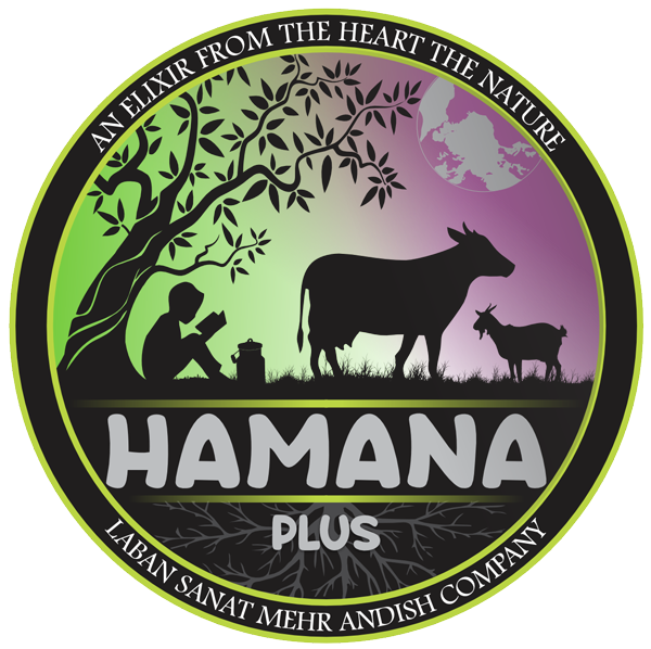 Hamana Ice Cream