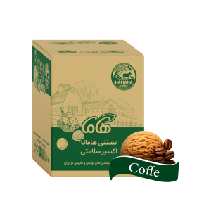 بستنی کترینگ نسکافه ویژه 3 کیلویی
