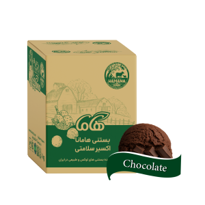 بستنی کترینگ شکلات ویژه 3 کیلویی